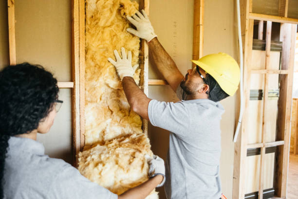 Best Residential Insulation Services  in Lakewood, CO