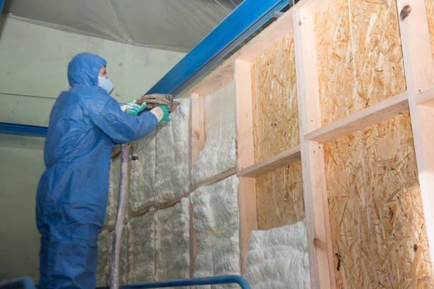 Best Commercial Insulation Contractor  in Lakewood, CO