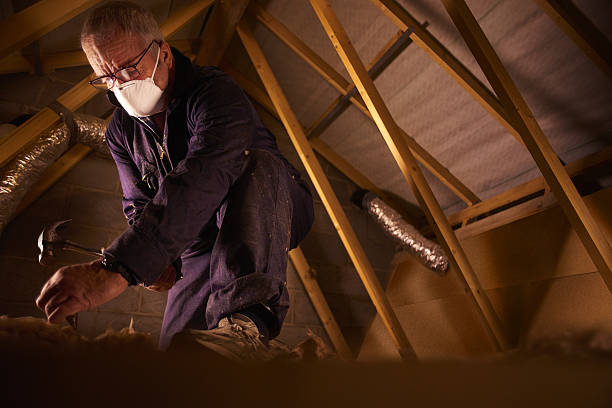 Best Insulation Repair Services  in Lakewood, CO